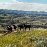 Review photo of Cottonwood Campground — Theodore Roosevelt National Park by Deb M., August 28, 2022