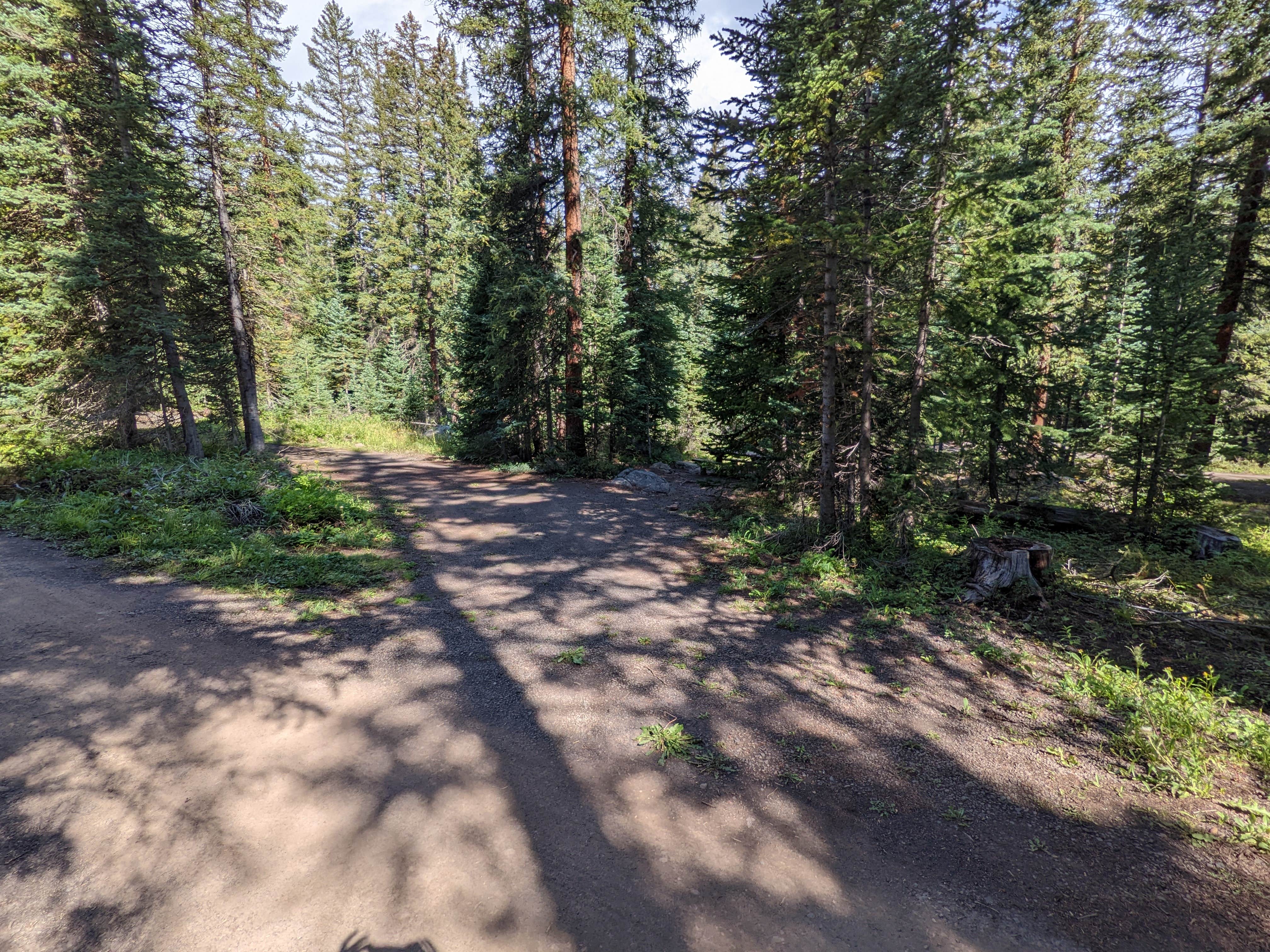 Camping near Little Bear Campground: Spruce Grove, Mesa Lakes, Colorado