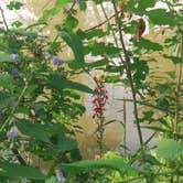 Review photo of Saulsbury Bridge Rec Area, Primitive Tent Camp by James M., August 28, 2022