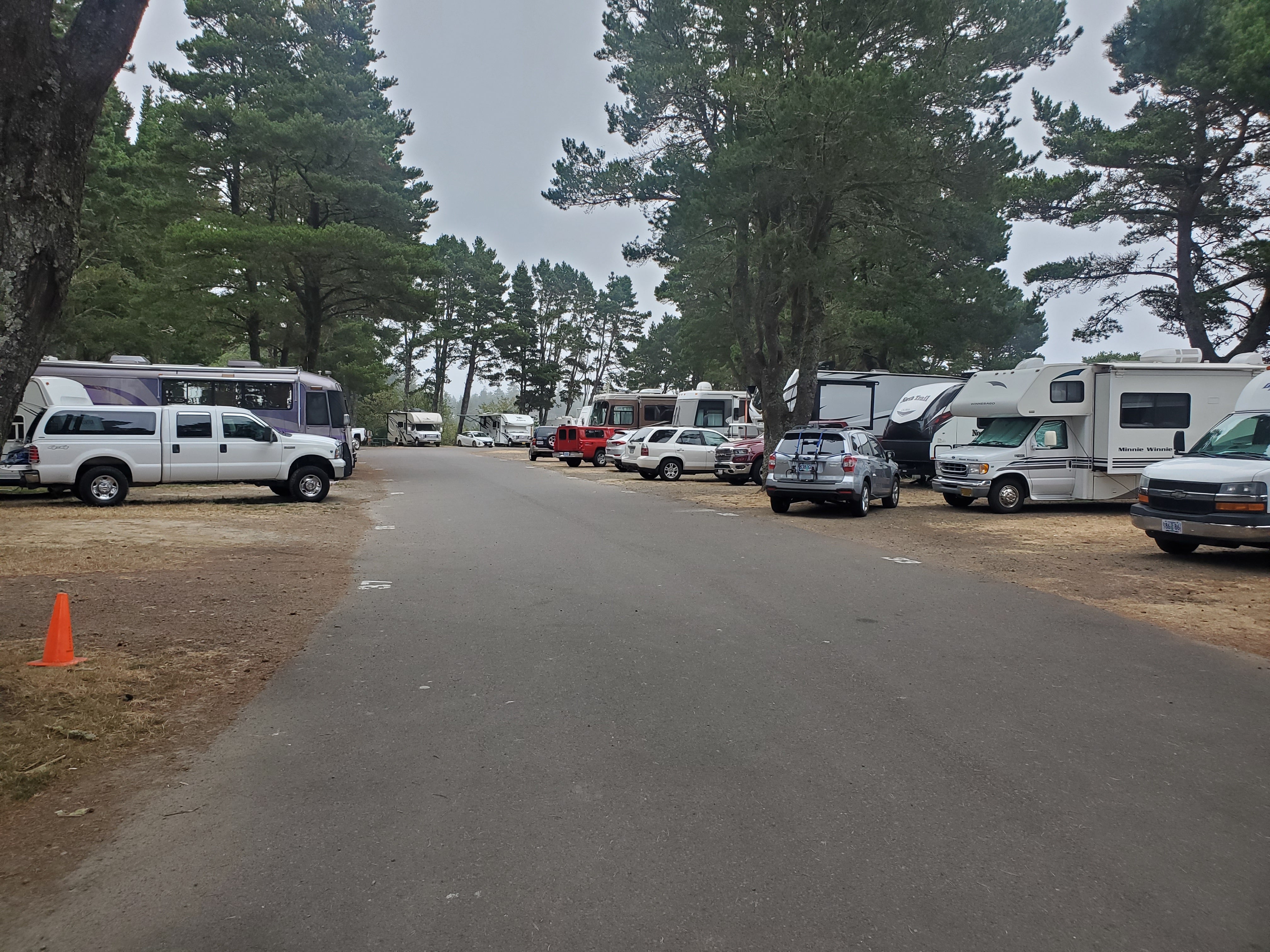 Camper submitted image from Port of Siuslaw RV Park and Marina - 5