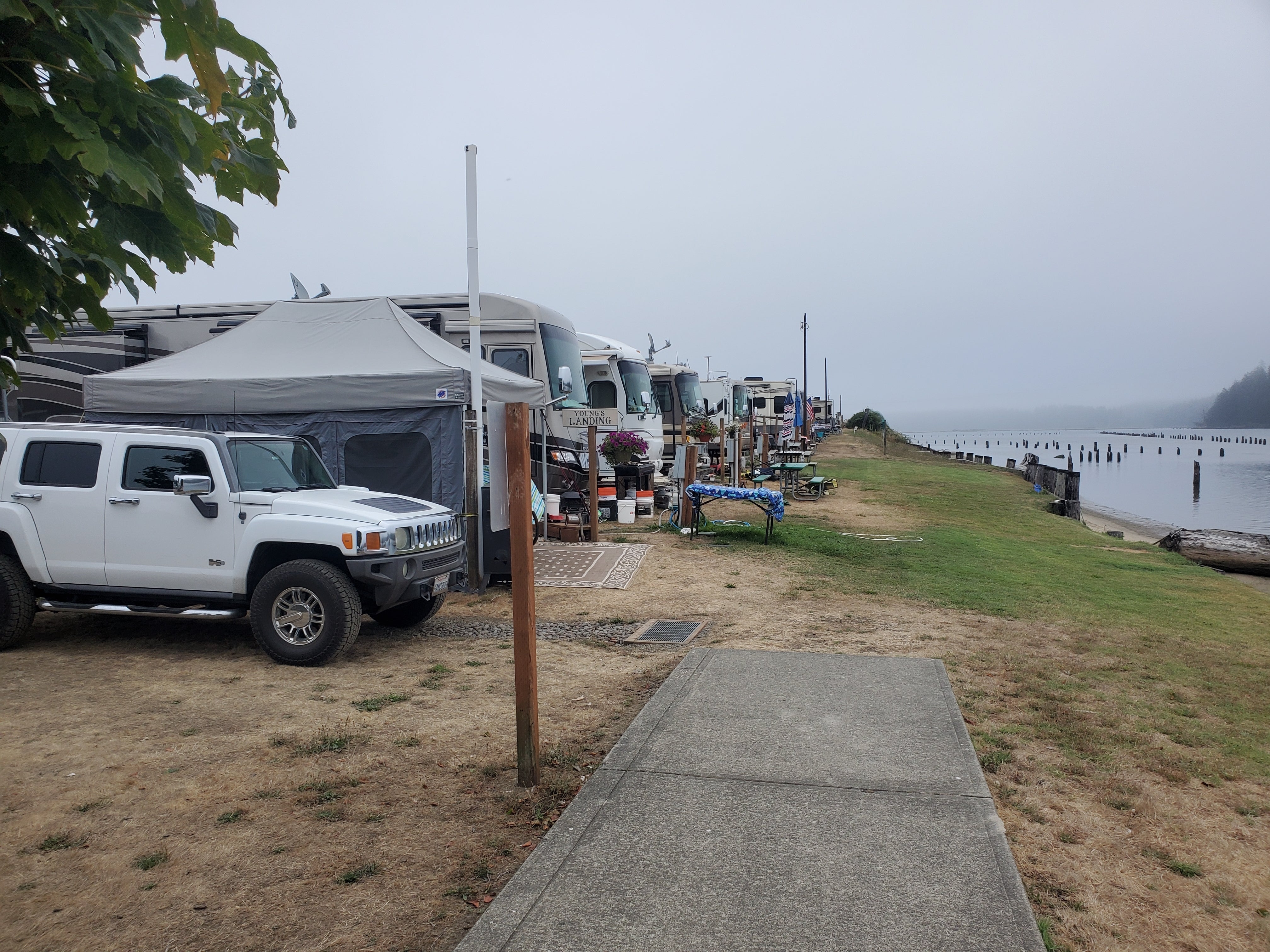 Camper submitted image from Port of Siuslaw RV Park and Marina - 1