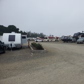 Review photo of Port of Siuslaw RV Park and Marina by Mimi , August 28, 2022