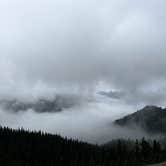 Review photo of Heart O' the Hills Campground — Olympic National Park by Duncan G., August 28, 2022