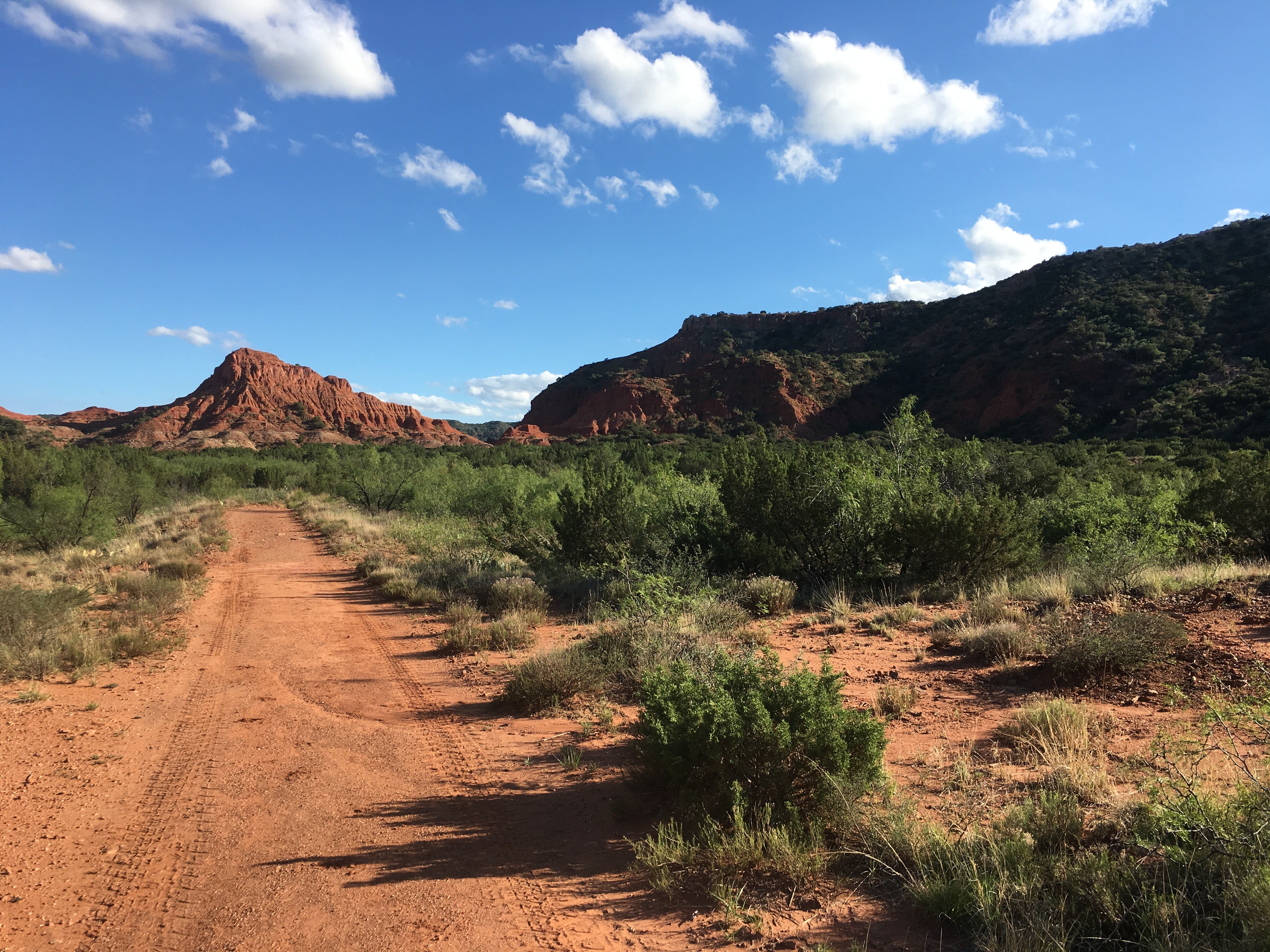 Camper submitted image from Wild Horse Equestrian Area — Caprock Canyons State Park - 4