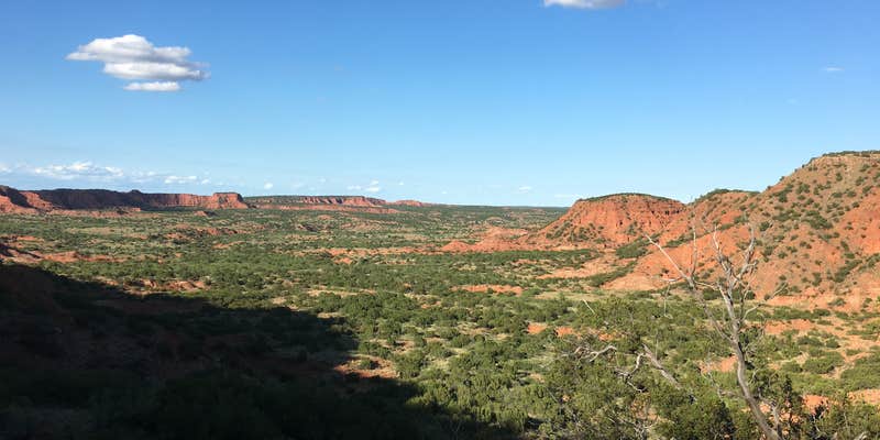 Camper submitted image from Wild Horse Equestrian Area — Caprock Canyons State Park