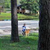 Review photo of Yogi Bear’s Jellystone Park Camp Resort - Alabama Gulf Coast by Joe O., August 28, 2022