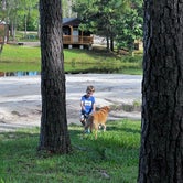 Review photo of Yogi Bear’s Jellystone Park Camp Resort - Alabama Gulf Coast by Joe O., August 28, 2022