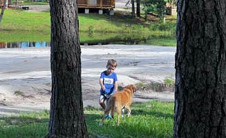 Joe O.'s photo of camping with pets at Yogi Bear’s Jellystone Park Camp Resort - Alabama Gulf Coast near Magnolia Springs, AL