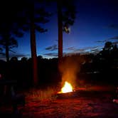 Review photo of Yogi Bear’s Jellystone Park Camp Resort - Alabama Gulf Coast by Joe O., August 28, 2022