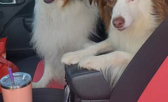 Staci R.'s photo of camping with pets at Energy Lake Campground near Kuttawa, KY