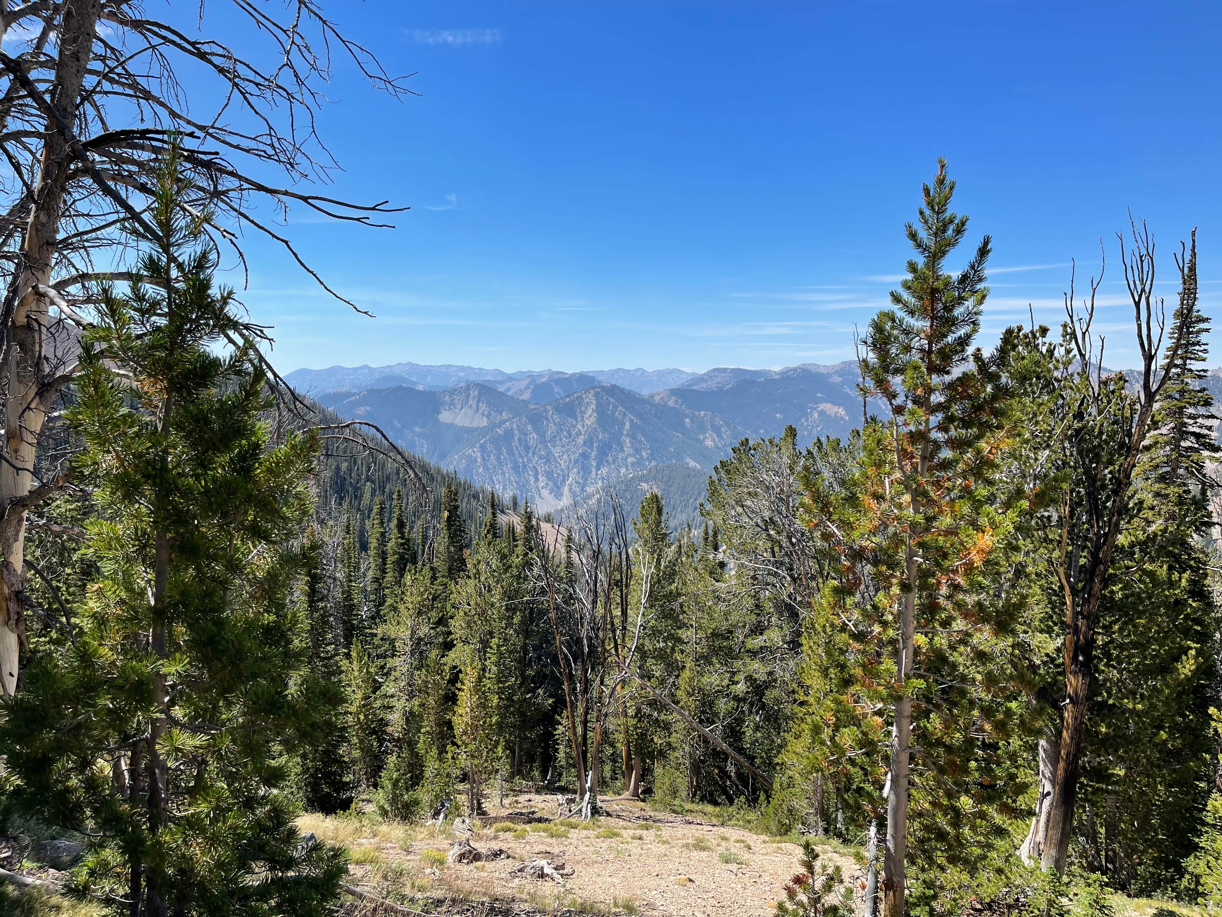 Camper-submitted photo at Smiley Creek Lodge near Clayton, ID