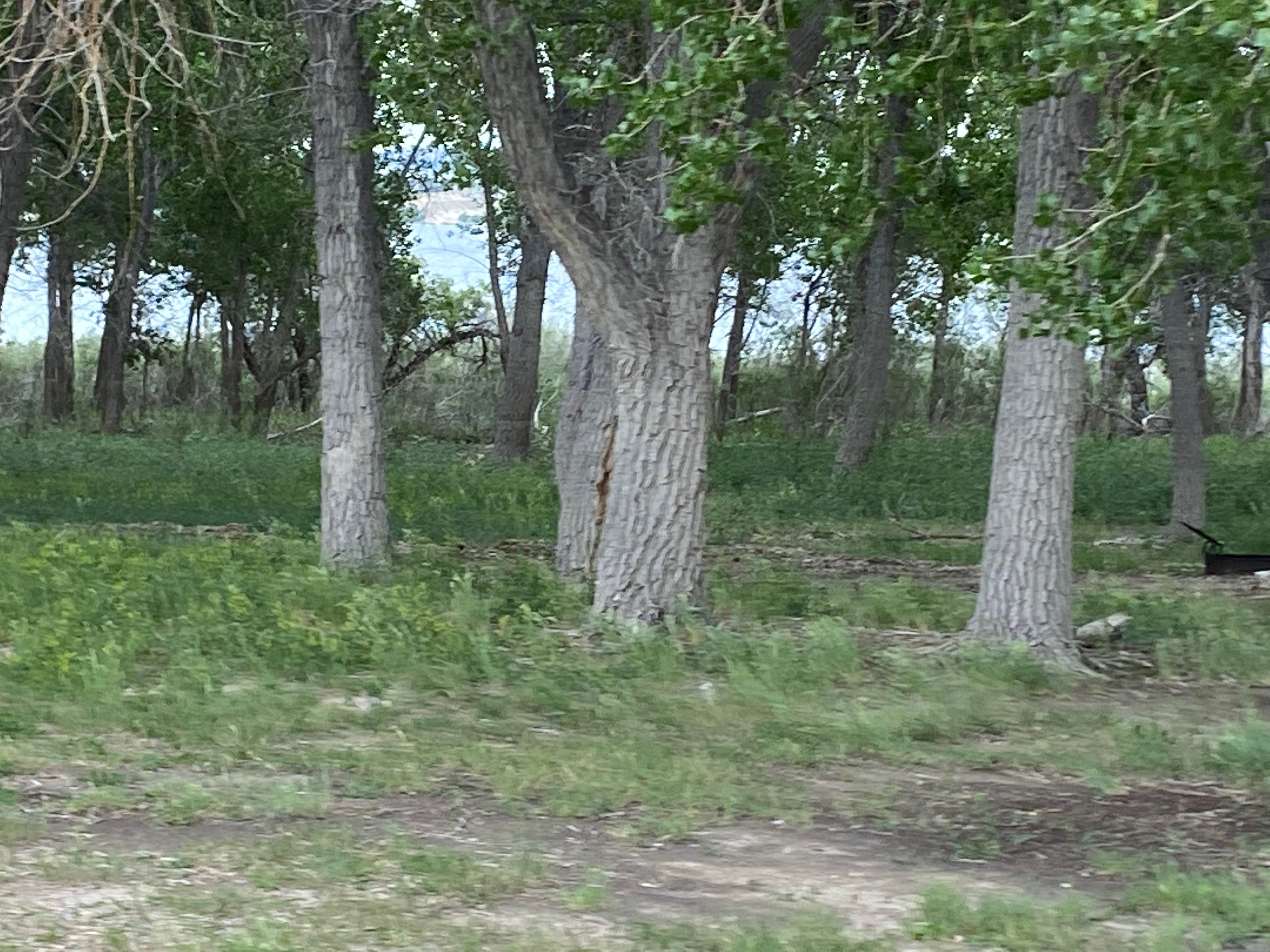 Camper-submitted photo at Bennett Hill Campground — Glendo State Park near Glendo, WY