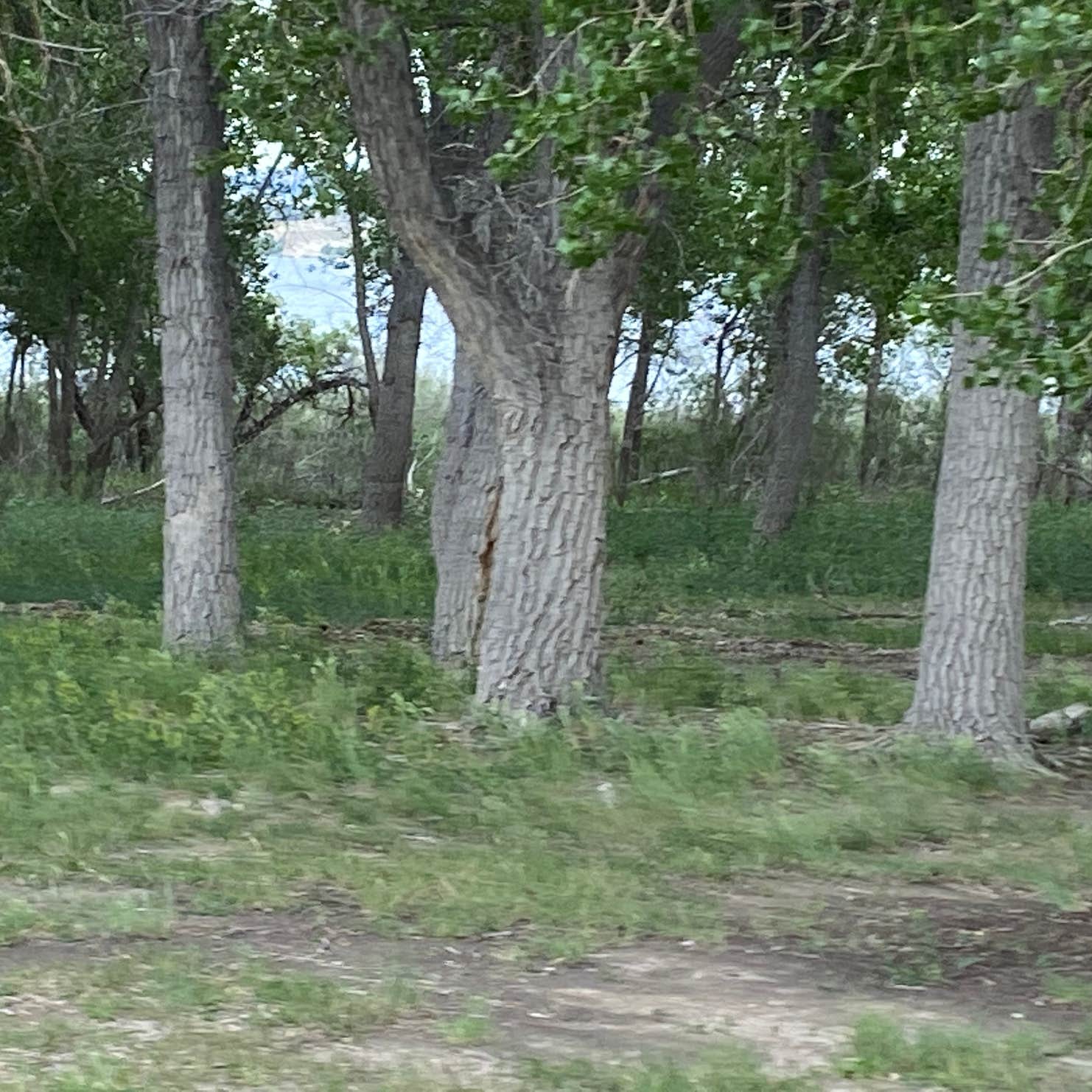 Hill Campground — Glendo State Park Glendo, WY