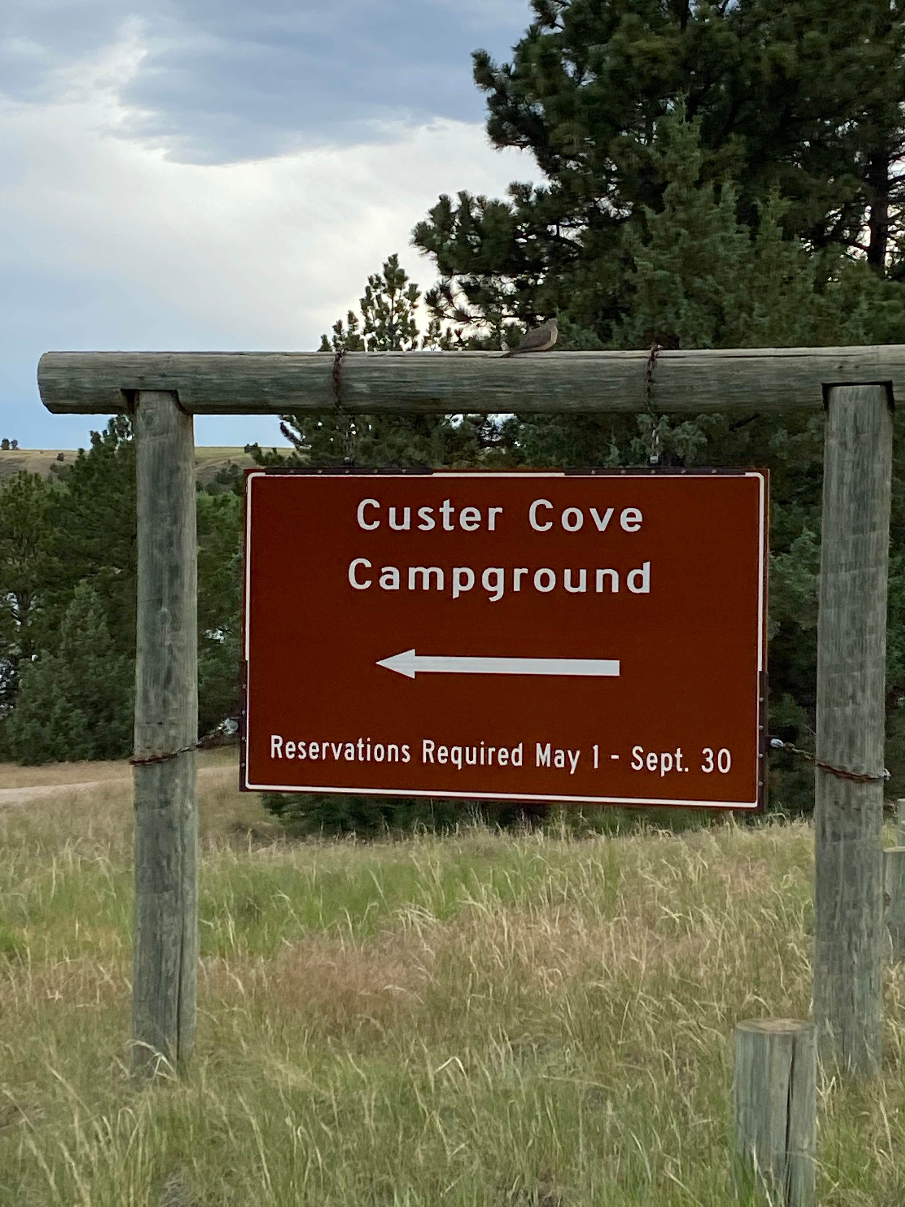 Camper submitted image from Custer Cove — Glendo State Park - 4