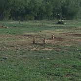 Review photo of Wild Horse Equestrian Area — Caprock Canyons State Park by Scott B., July 24, 2018