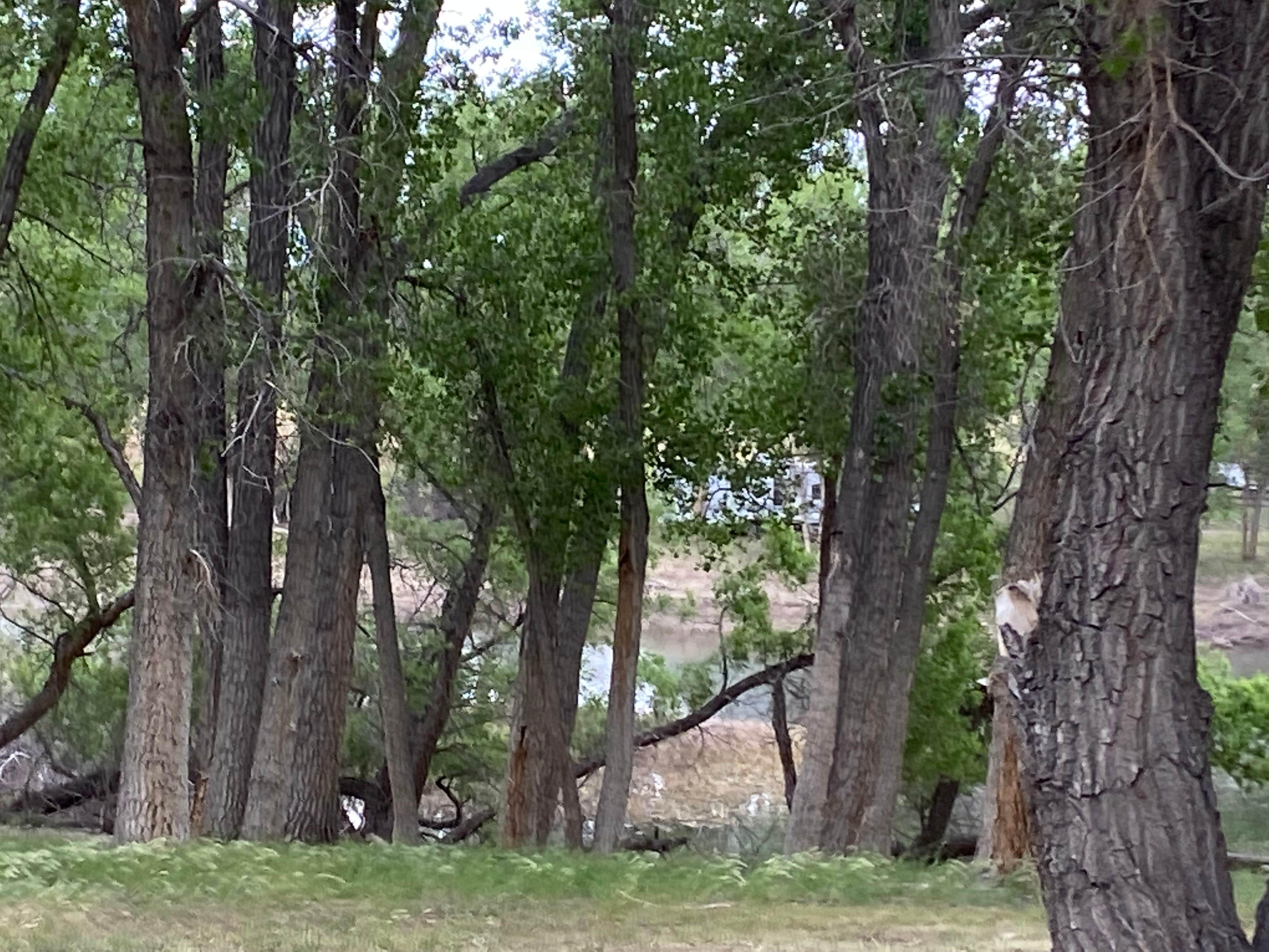 Camper-submitted photo at Colter Bay Campground — Glendo State Park near Wheatland, WY
