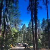 Review photo of Cave Springs by Scott B., July 24, 2018