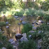 Review photo of Cave Springs by Scott B., July 24, 2018