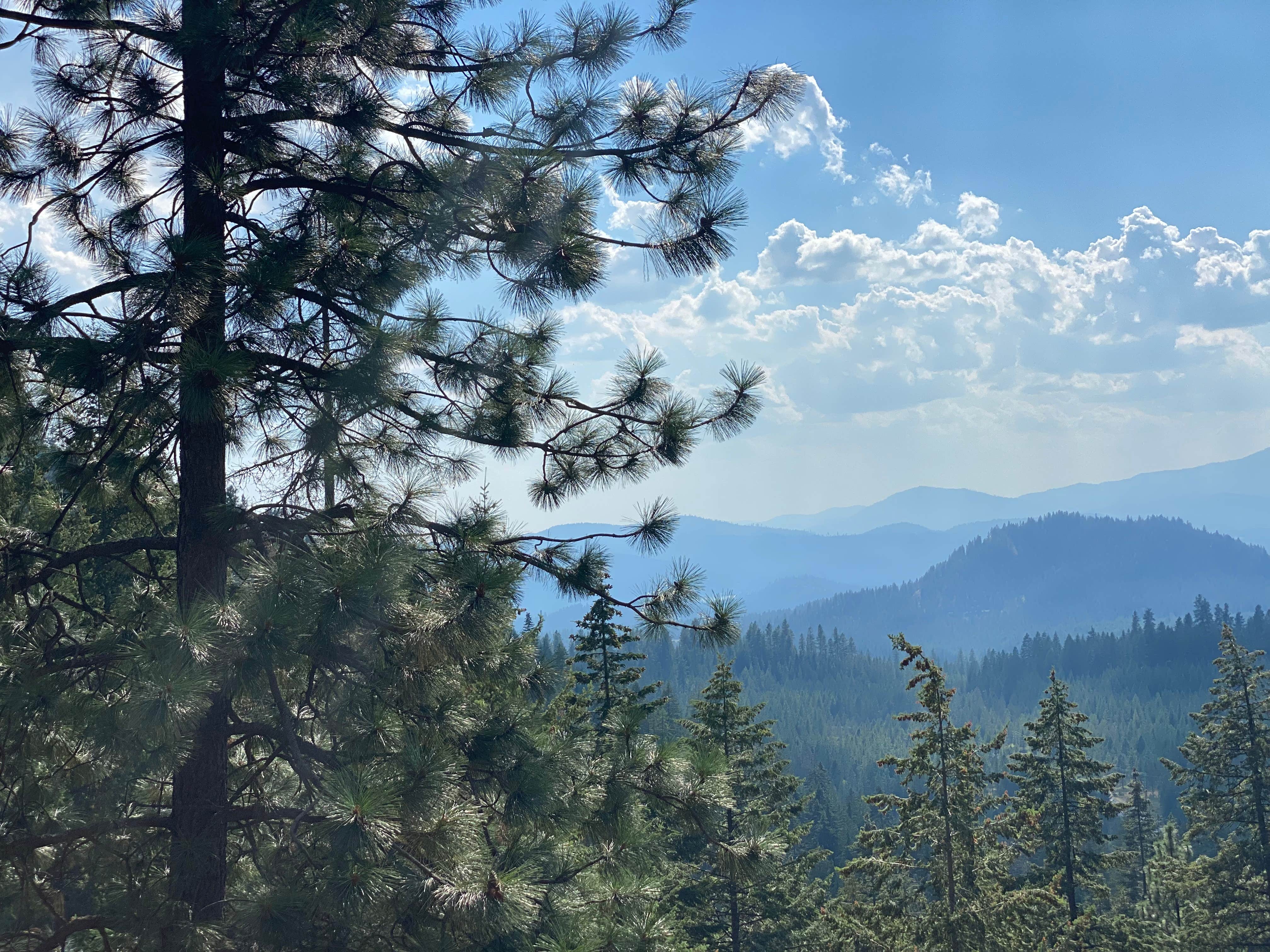 Camper-submitted photo at Pioneer Park near Usk, WA