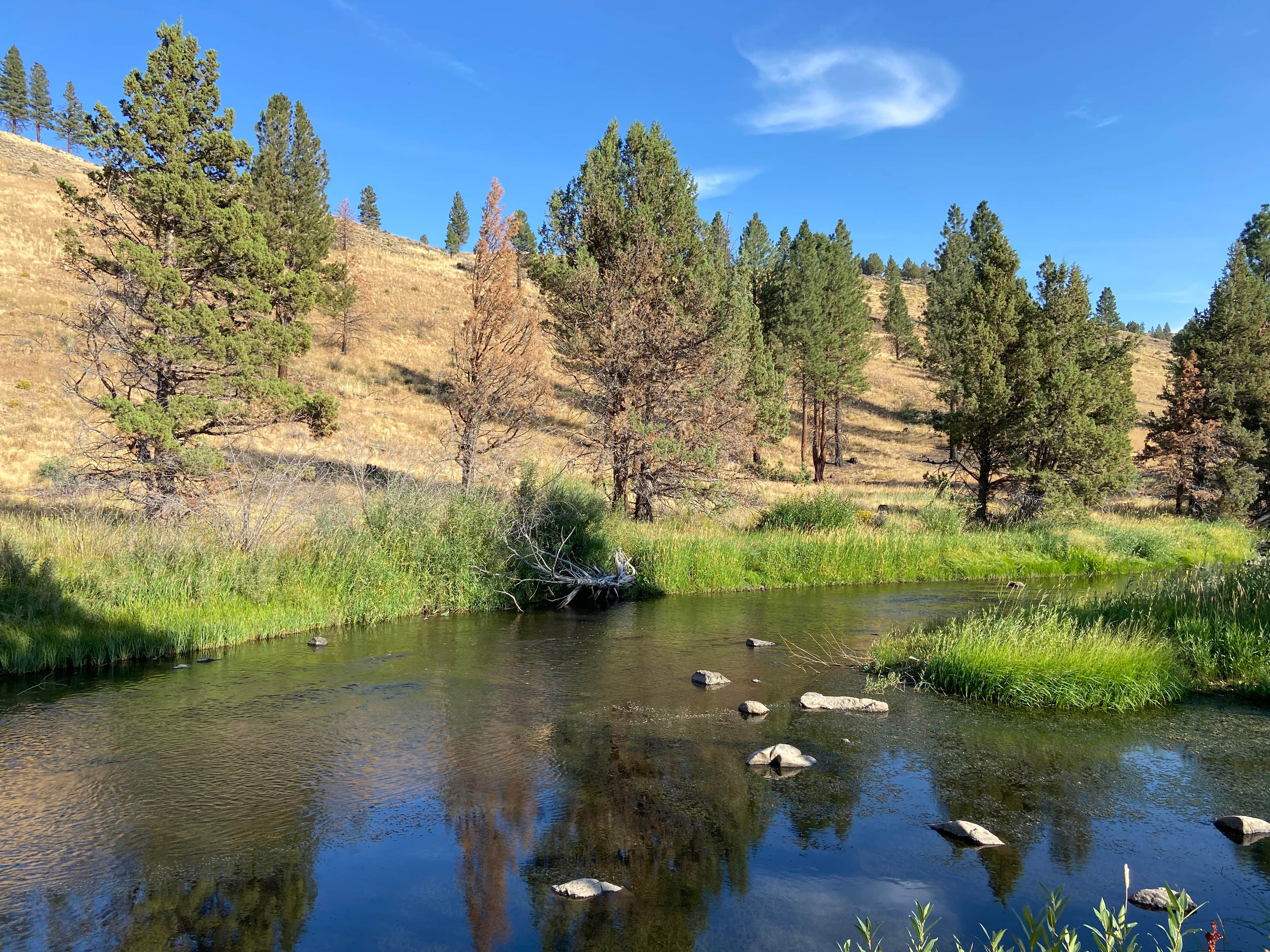 Camper-submitted photo at Jones Crossing Forest Camp near Paisley, OR