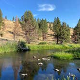 Review photo of Jones Crossing Forest Camp by Greg B., August 29, 2022