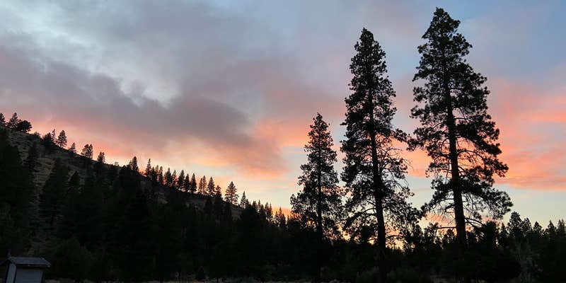 Camper submitted image from Jones Crossing Forest Camp