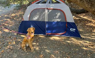 Camping near Doheny State Beach: O'Neill Regional Park, Trabuco Canyon, California