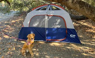 Anthony T.'s photo of camping with pets at O'Neill Regional Park near Irvine, CA