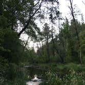 Review photo of Cave Springs by Scott B., July 24, 2018