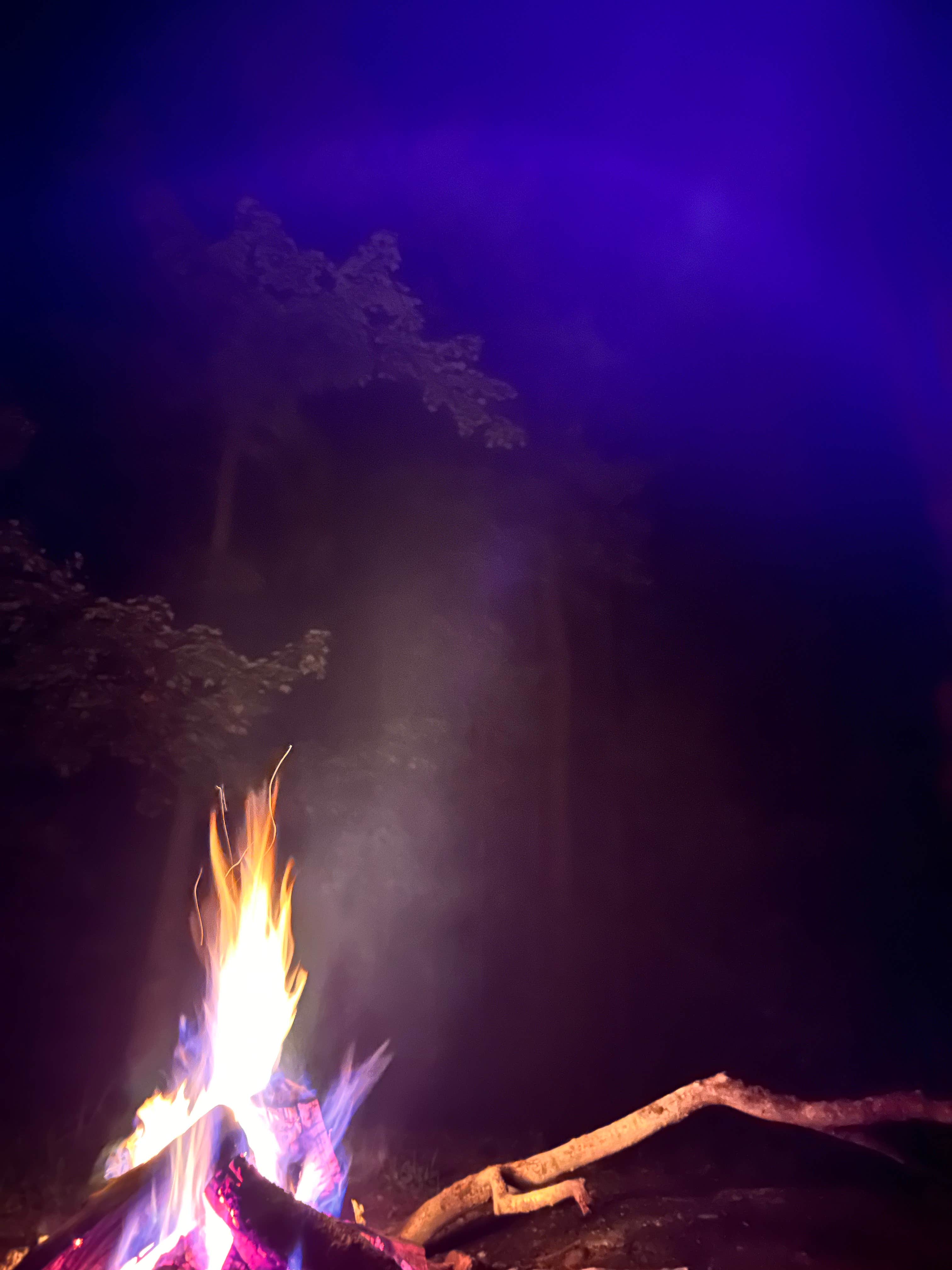 Camper-submitted photo at East Otto State Forest near Cassadaga, NY