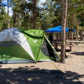 Review photo of Glacier Basin Campground — Rocky Mountain National Park by Casey L., August 29, 2022