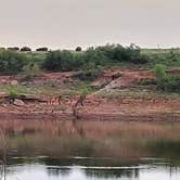 Review photo of Lake Theo Tent Camping Area — Caprock Canyons State Park by Audrey H., August 29, 2022