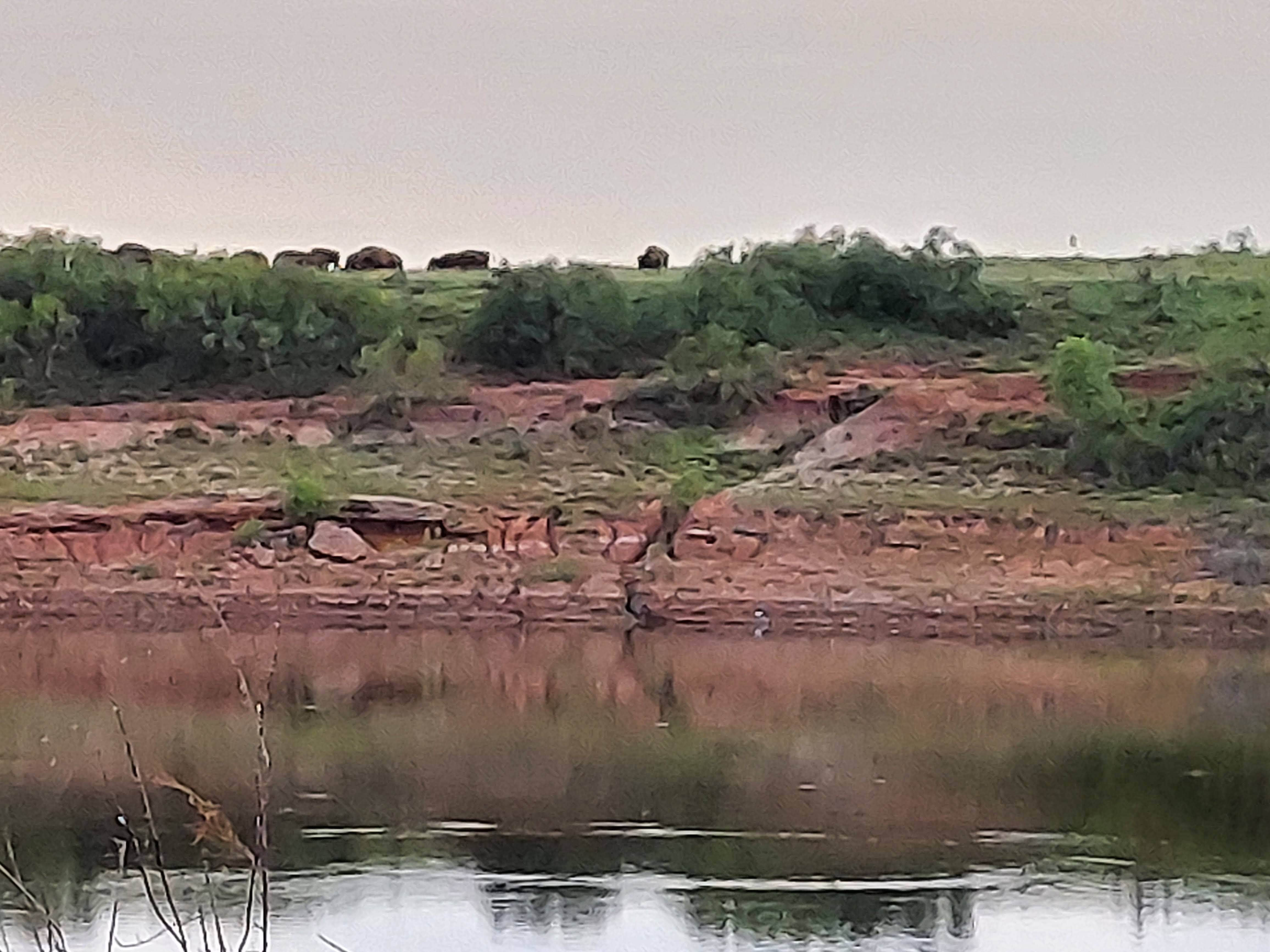 Camper submitted image from Lake Theo Tent Camping Area — Caprock Canyons State Park - 4