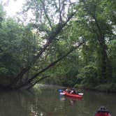 Review photo of Dog Creek Campground by Casey C., July 24, 2018