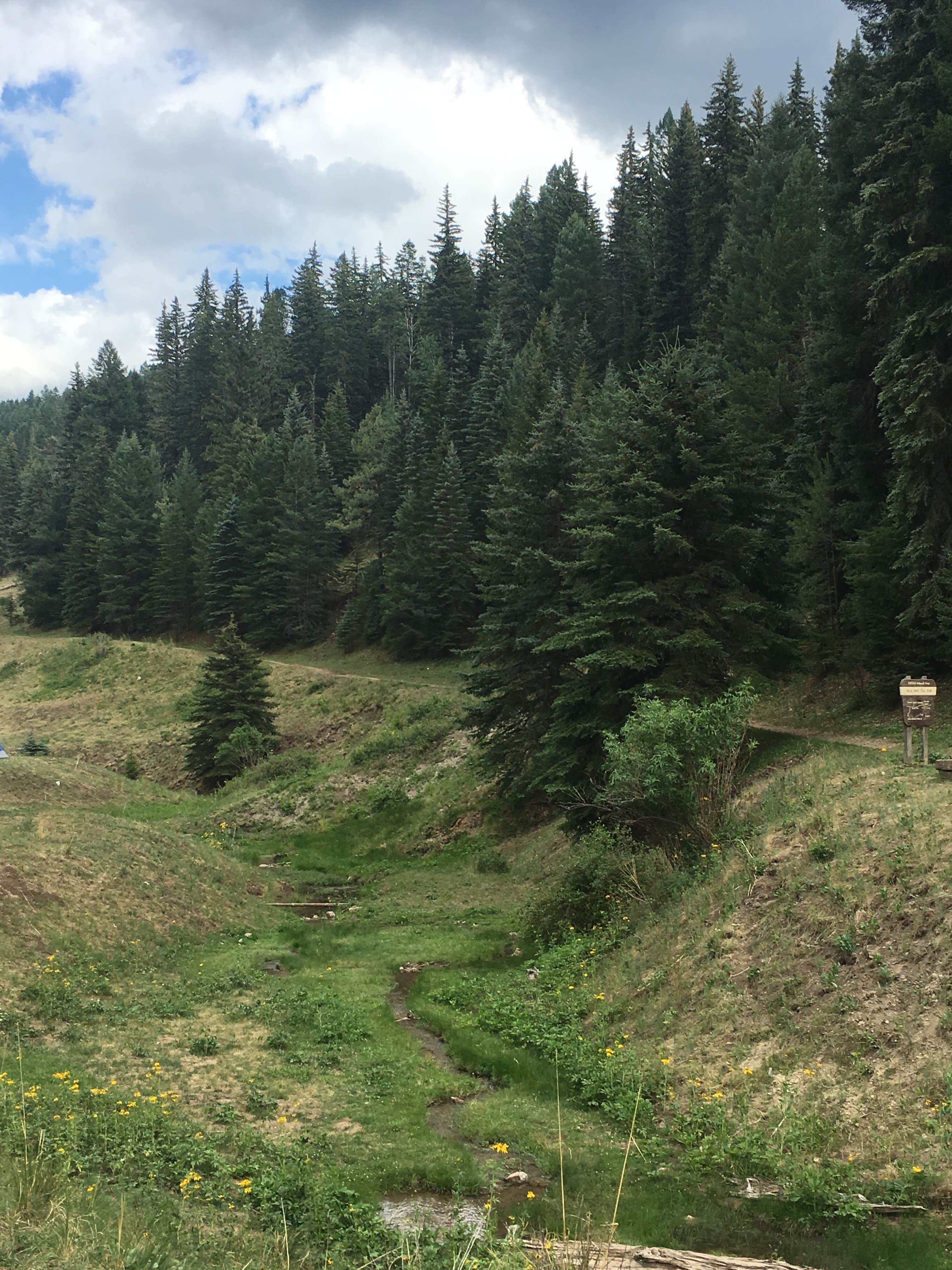 Camper-submitted photo at Bluff Springs Dispersed Camping near Alamogordo, NM