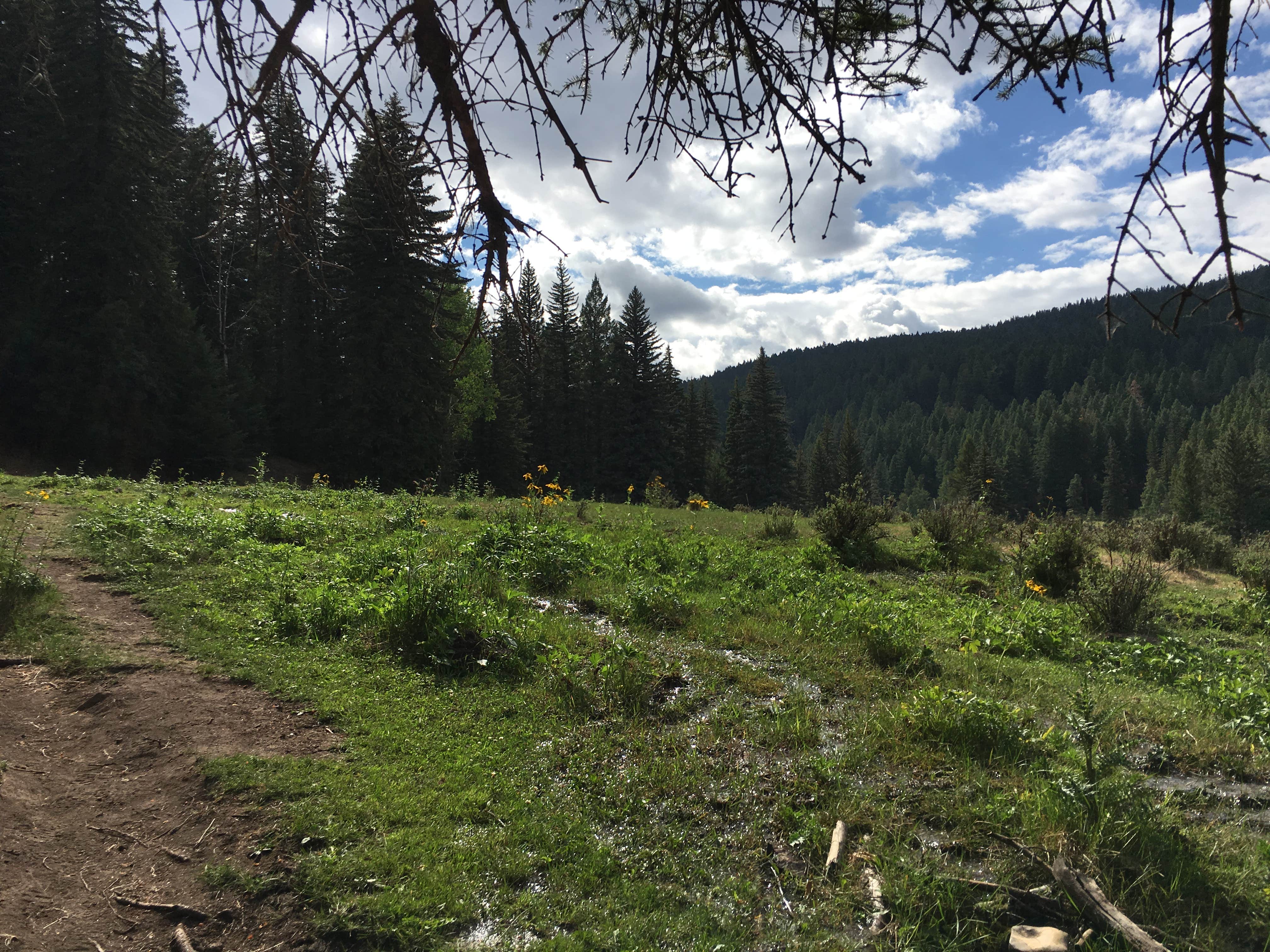 Camper-submitted photo at Bluff Springs Dispersed Camping near Lincoln National Forest