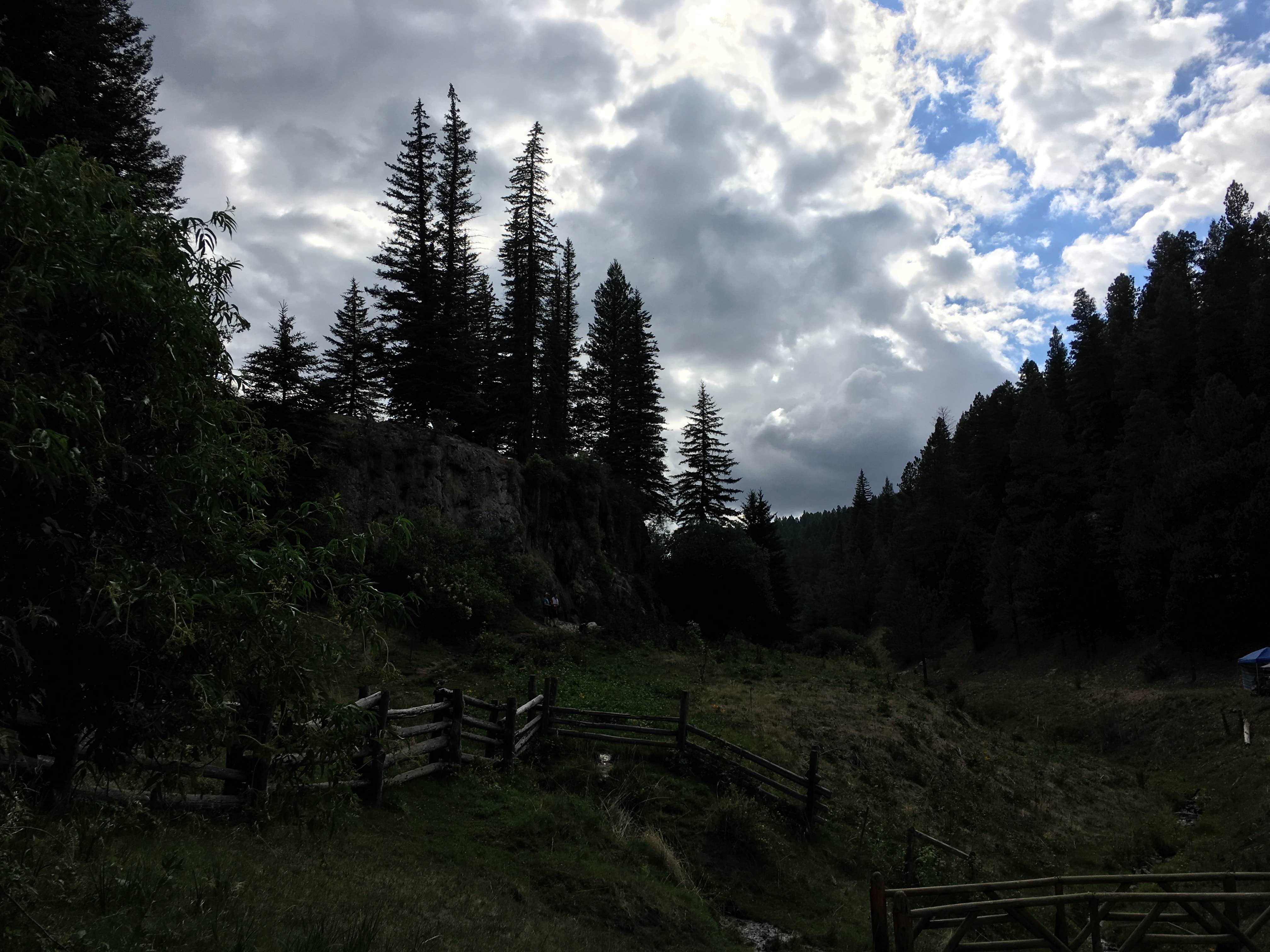 Camper-submitted photo at Bluff Springs Dispersed Camping near Alamogordo, NM