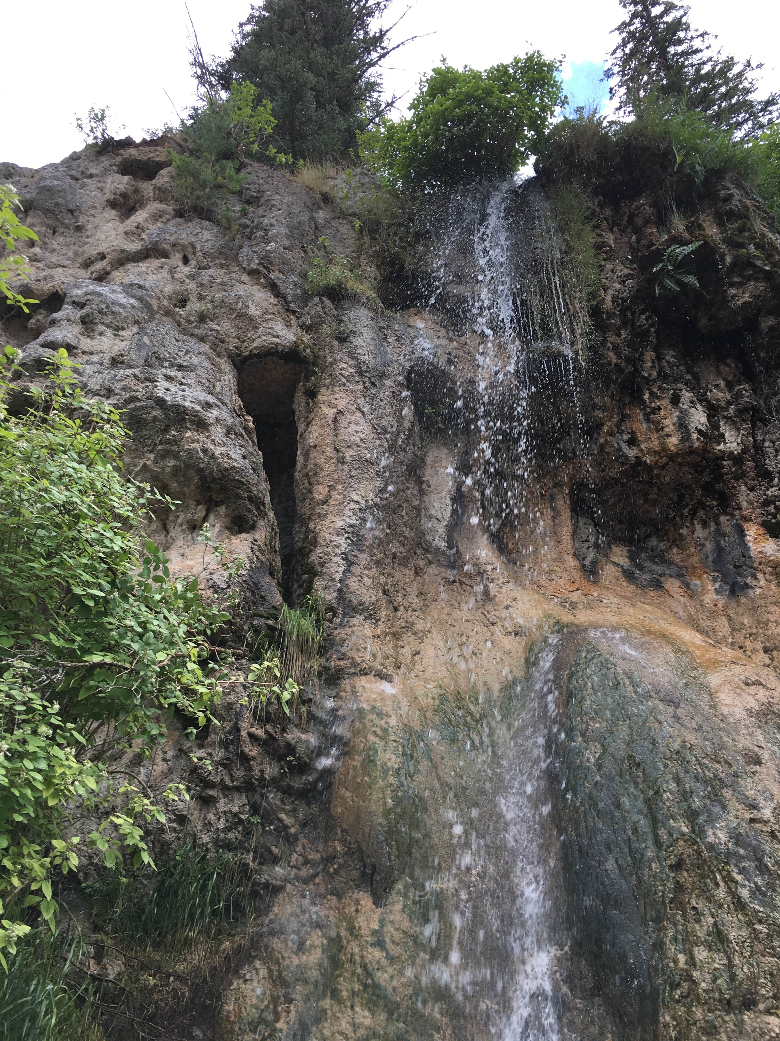 Camper submitted image from Bluff Springs Dispersed Camping - 5