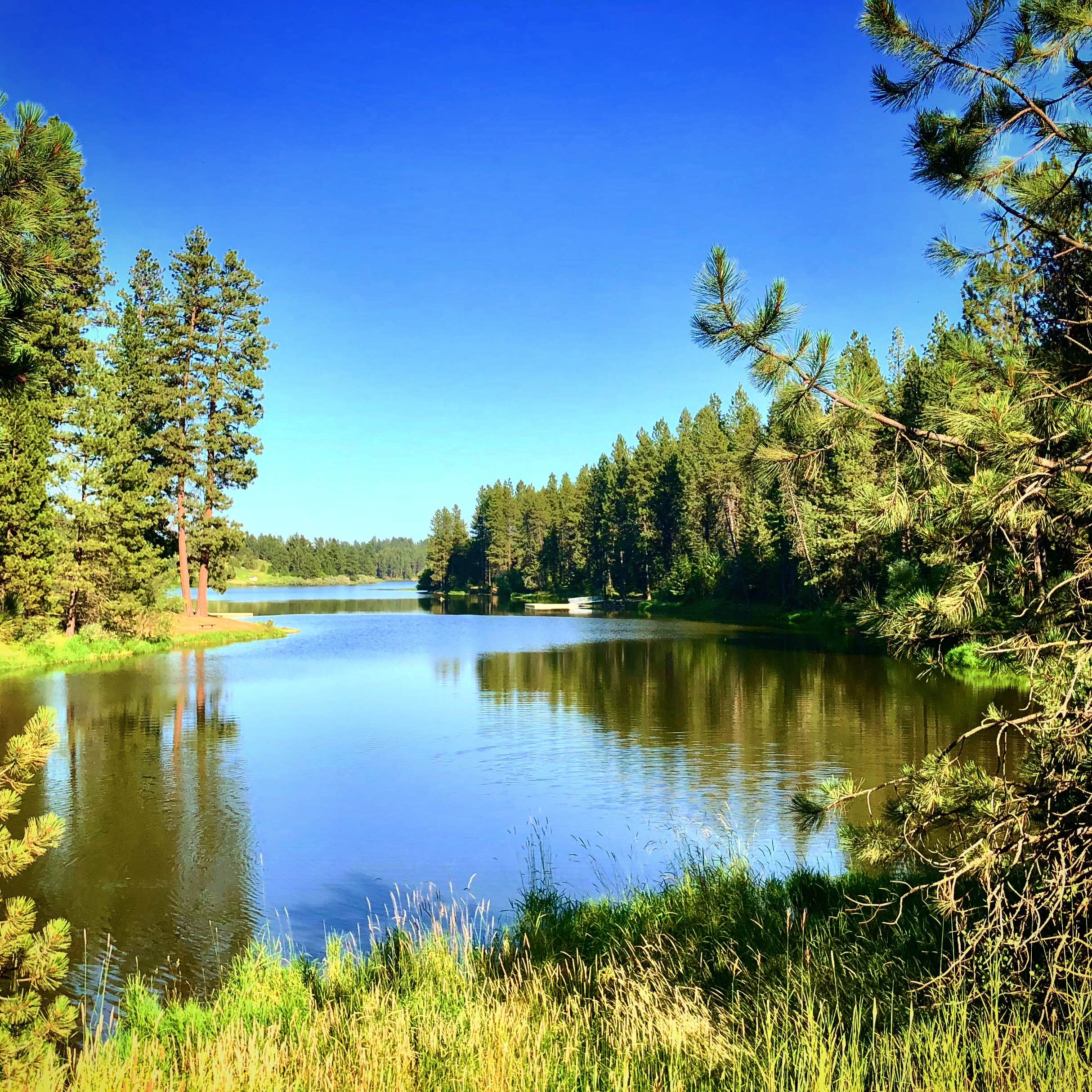 Camper submitted image from Winchester Lake State Park Campground - 4