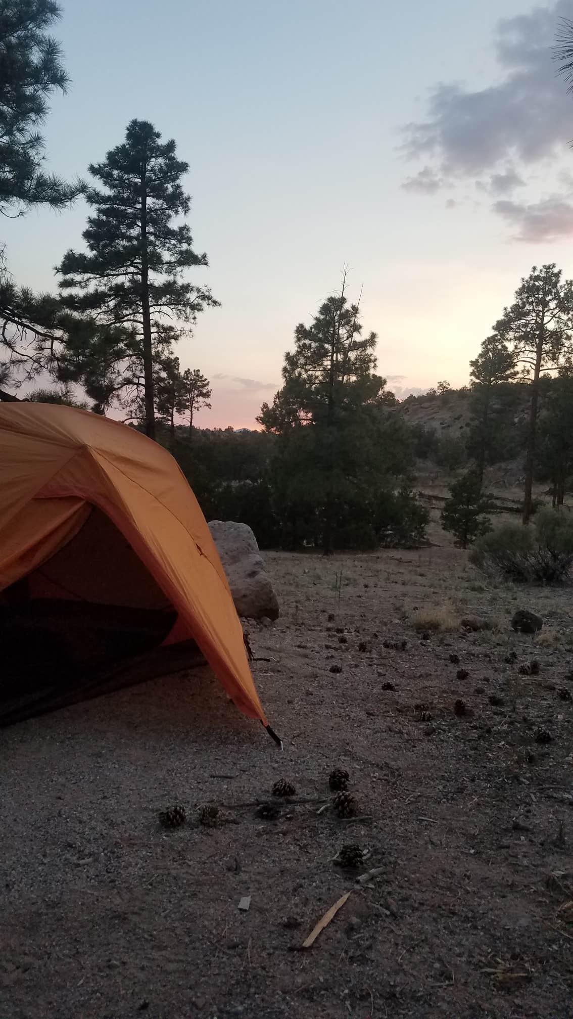 Camper submitted image from Juniper Family Campground — Bandelier National Monument - 4