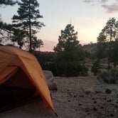 Review photo of Juniper Family Campground — Bandelier National Monument by Anthony G., July 25, 2018
