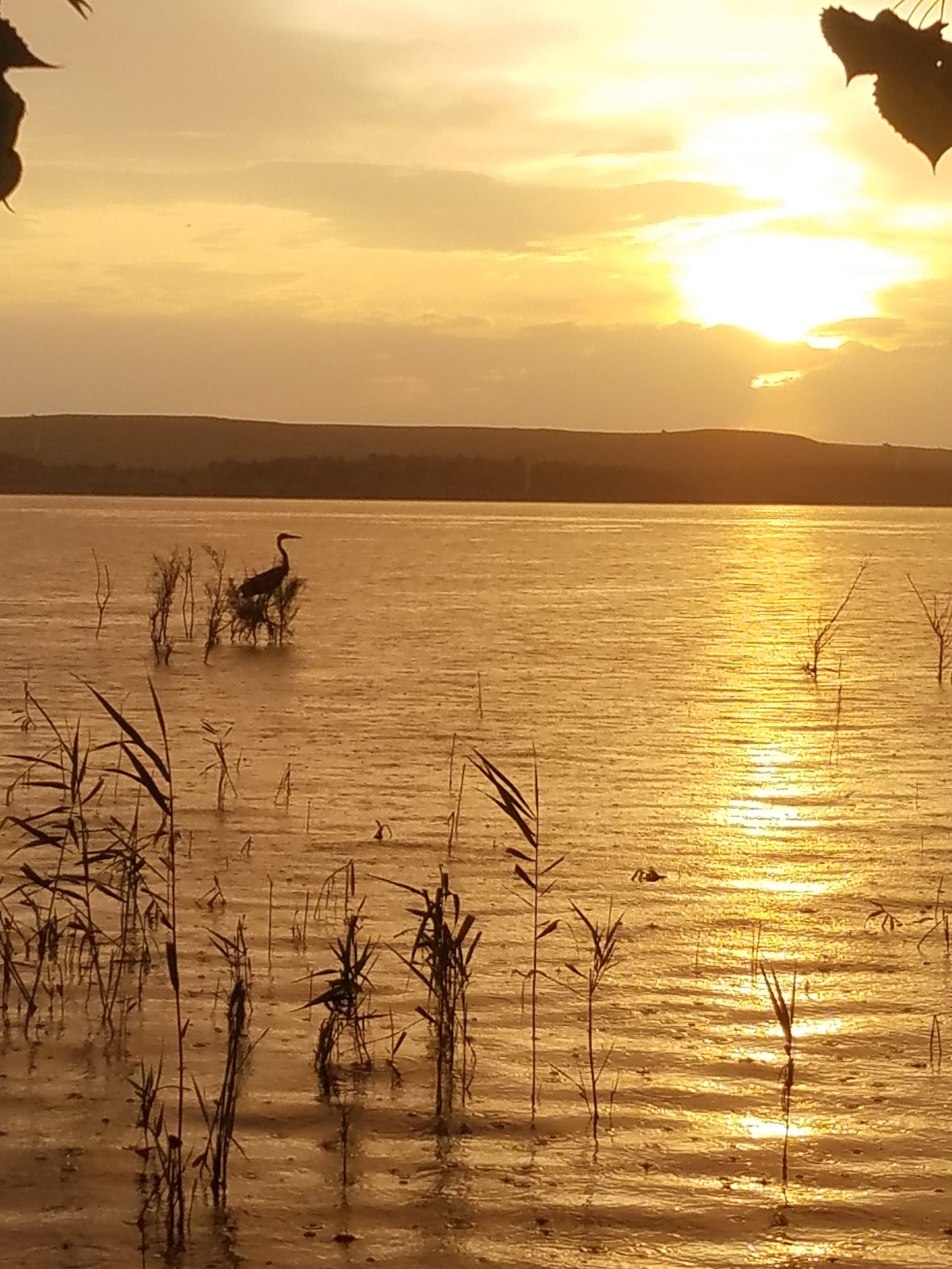 Camper submitted image from Minooka - Wilson Reservoir - 2