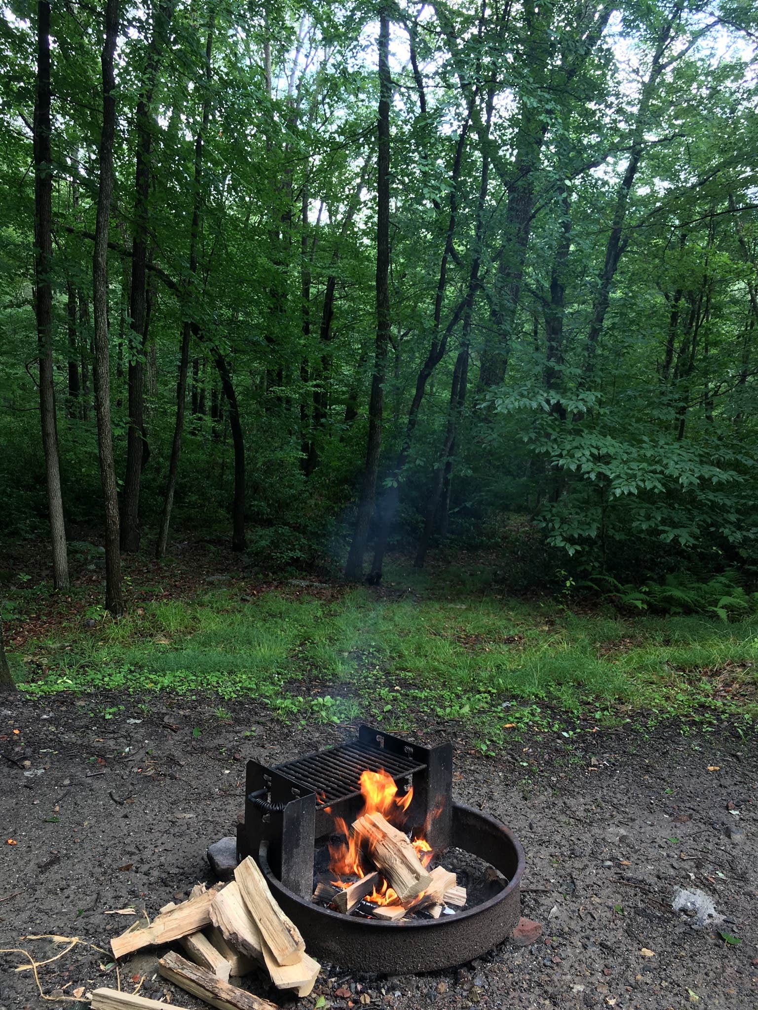Robyn B.'s photo at Hickory Run State Park Campground near Cranberry, PA