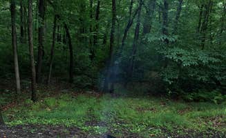 Robyn B.'s photo at Hickory Run State Park Campground in Pennsylvania