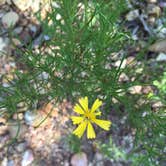 Review photo of Lake Bastrop North Shore Park by Troy W., July 25, 2018