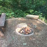 Review photo of Burr Oak Cove Campground by Eira T., July 5, 2015