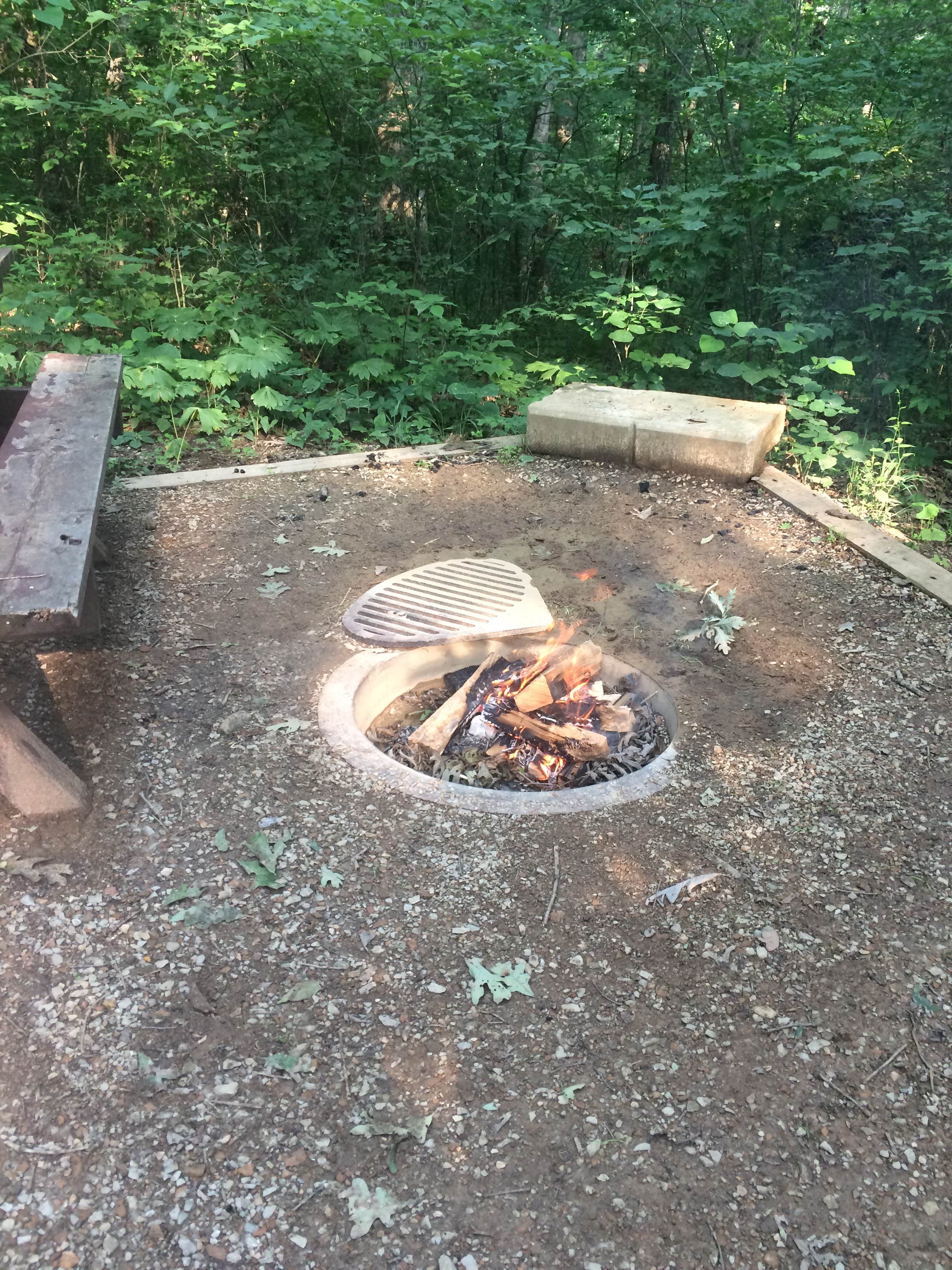 Camper submitted image from Burr Oak Cove Campground - 4