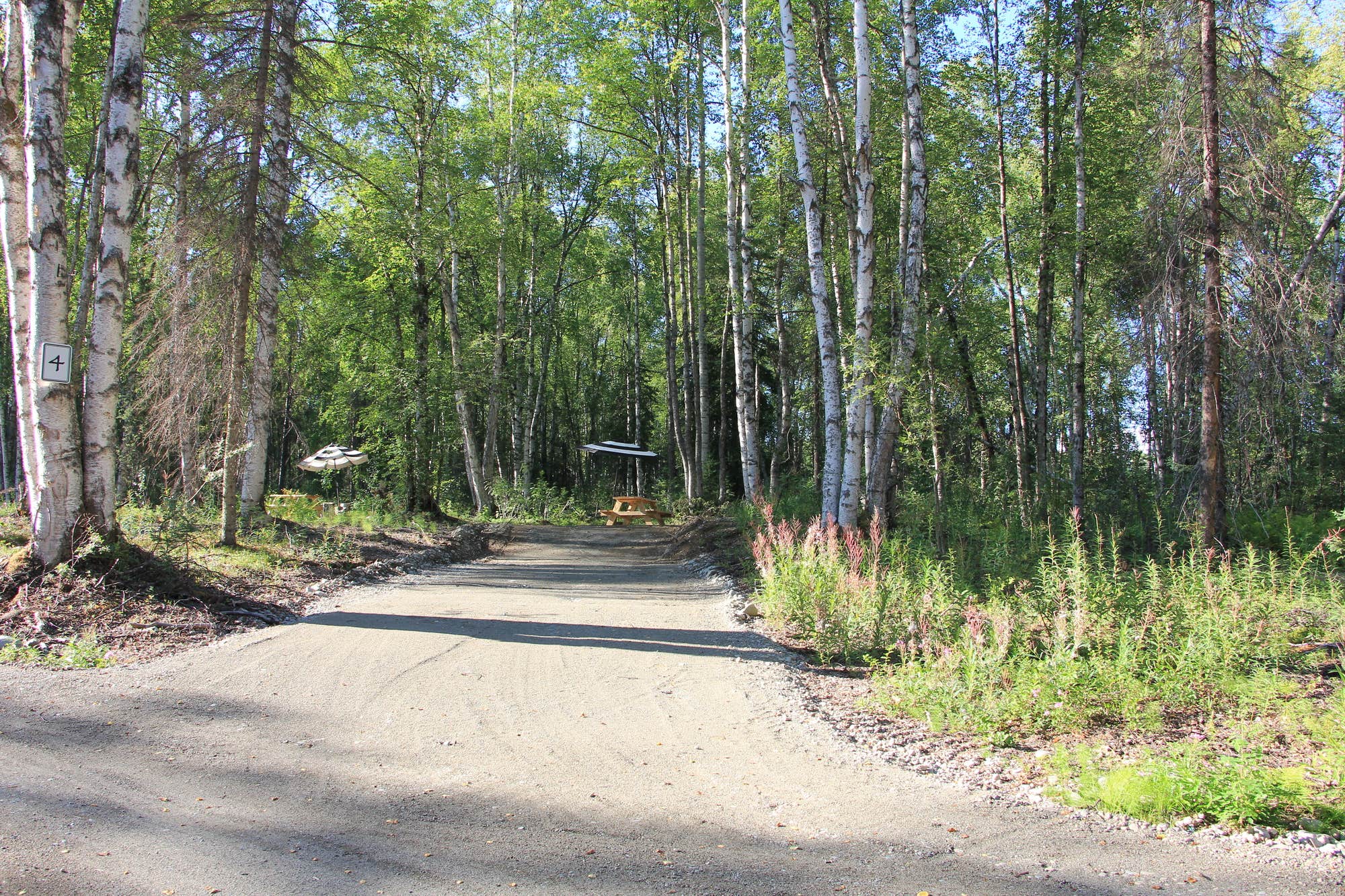 Camper submitted image from The Talkeetna Lake Retreat - 2