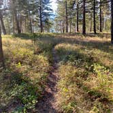 Review photo of West Shore Unit — Flathead Lake State Park by PJ F., August 29, 2022