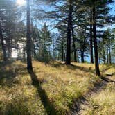 Review photo of West Shore Unit — Flathead Lake State Park by PJ F., August 29, 2022